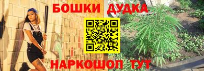 крисы Краснодар