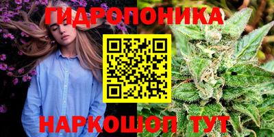 крисы Краснодар