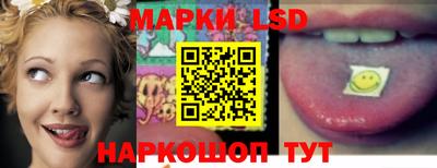 крисы Краснодар
