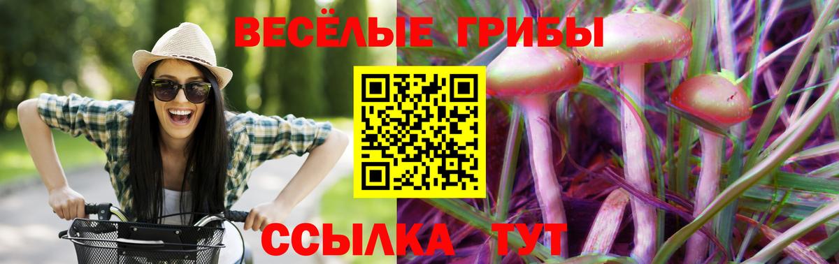 Кузнецк  Галлюциногенные грибы прущие грибы  Вход с VPN 
