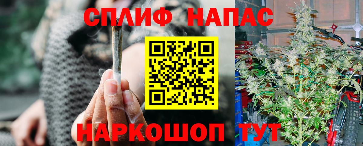 Конопля Amnesia Кузнецк
